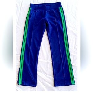 Nike Blue Track Pants with Green Stripes New With Tags
